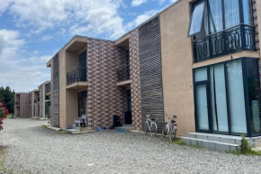 Townhouse house
